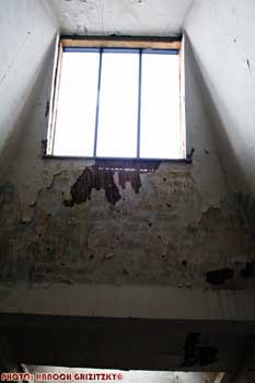 IMG_ (11064)